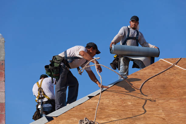 Best Storm Damage Roof Repair  in Taylor, AZ