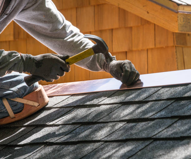 Best Roof Gutter Cleaning  in Taylor, AZ
